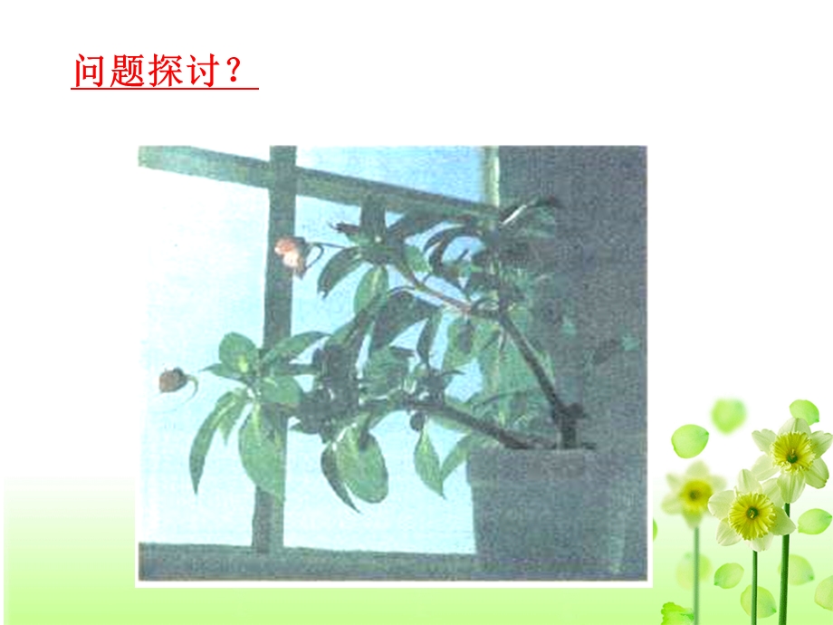 生物必需3第三章第一节.ppt_第3页