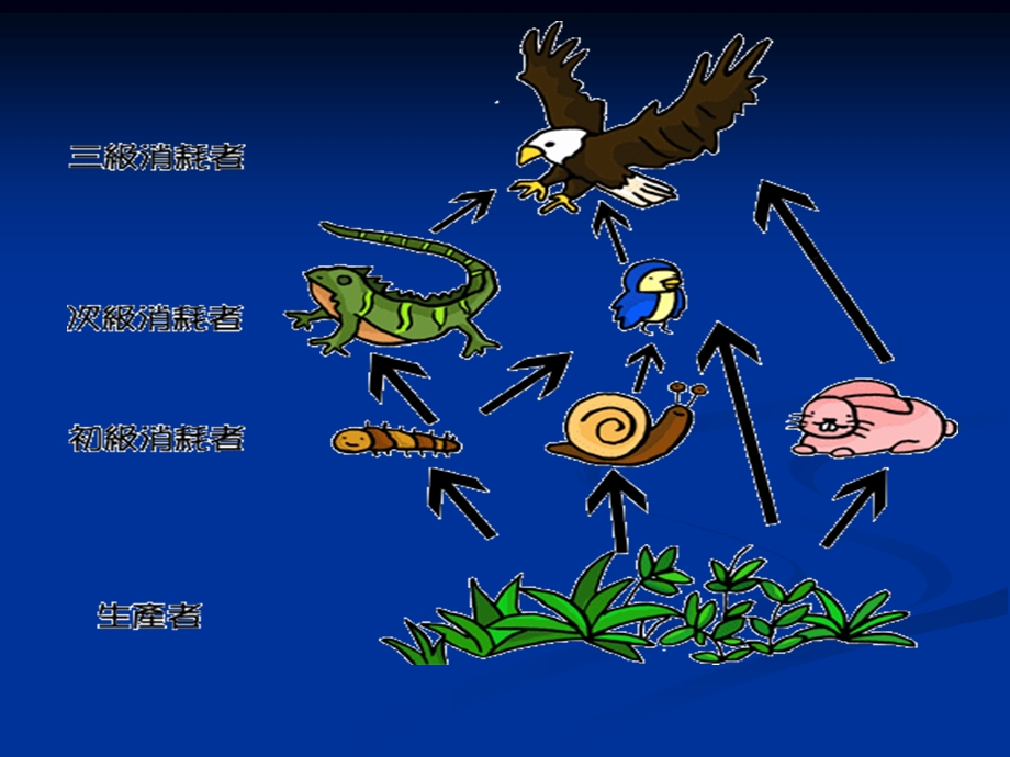 生态系统的功能与特征1生物生产.ppt_第1页