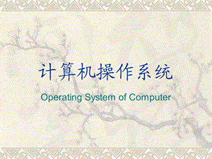 计算机操作系统ch.ppt