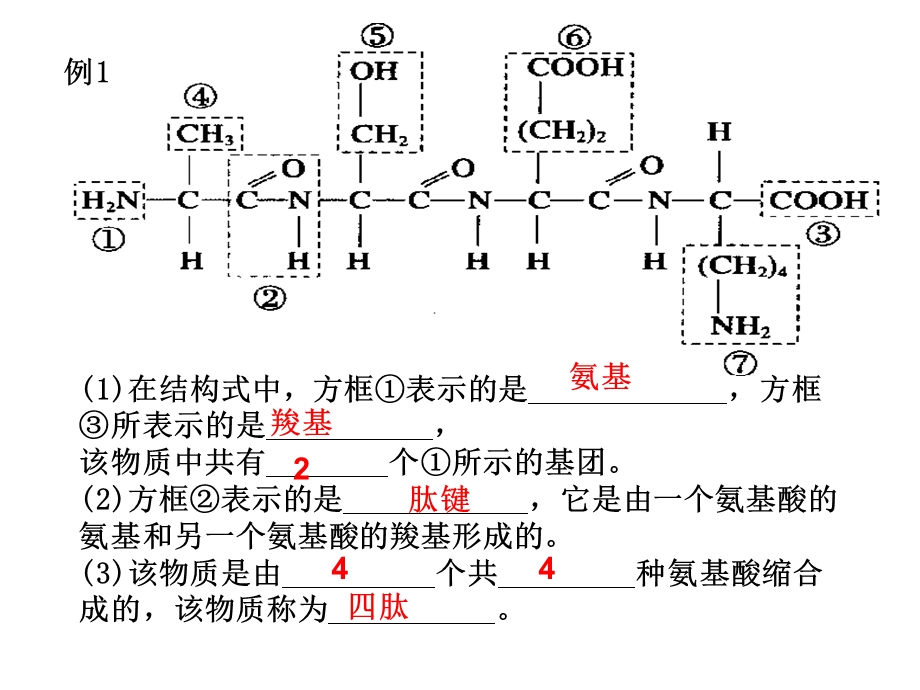 苏教版教学课件细胞的结构期中考试复习.ppt_第2页