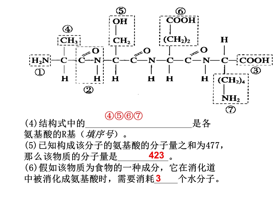 苏教版教学课件细胞的结构期中考试复习.ppt_第3页