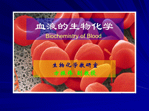 血液的生物化学4h.ppt