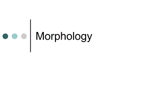 语言学Morphology课间自学演讲.ppt