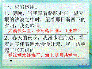 积累与运用(四下).ppt