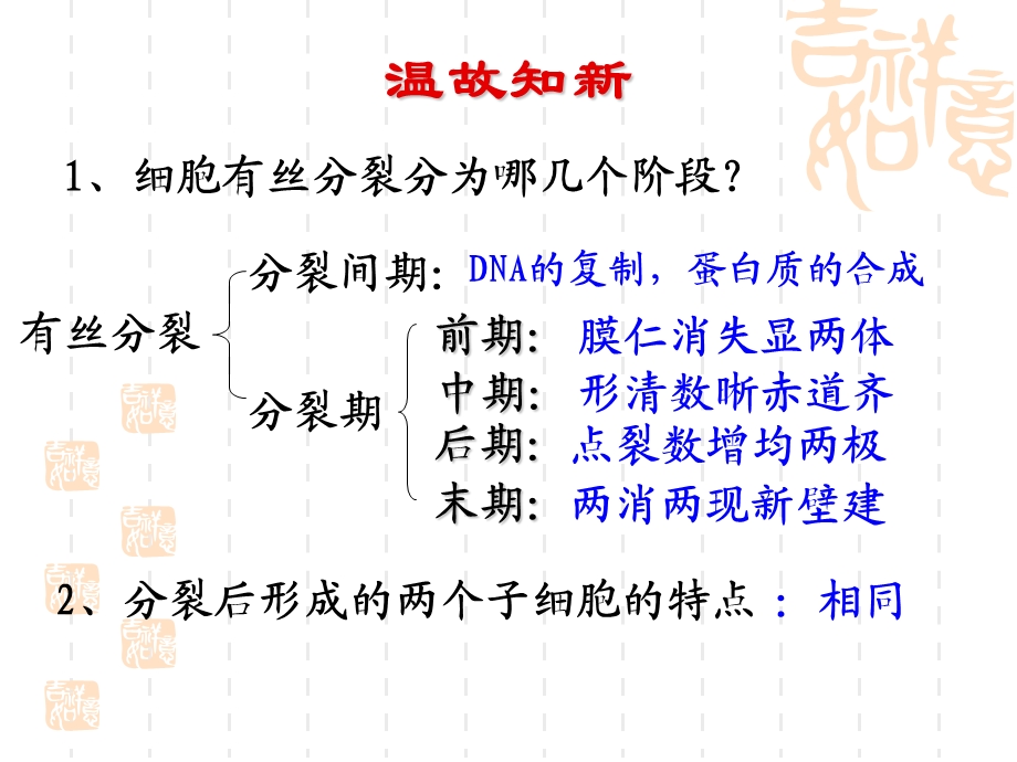 细胞的分化、衰老和癌变.ppt_第3页