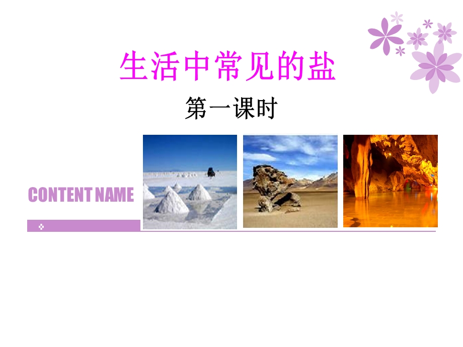 生活中常见的盐说.ppt_第1页