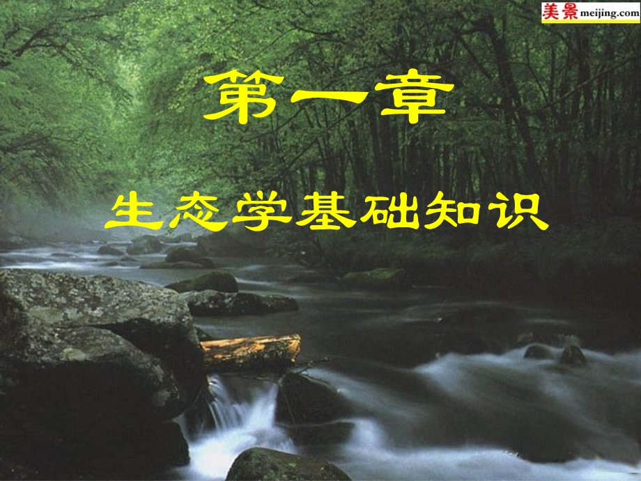 环境保护与可持续发展-生态学基础知识.ppt_第1页