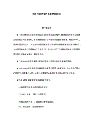 控股子公司专职外部董事管理办法[全].docx