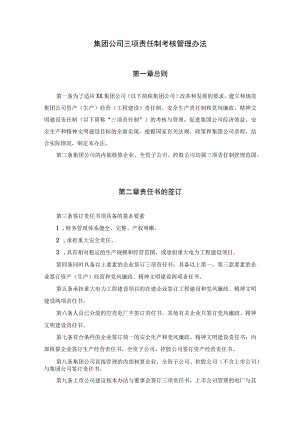 集团公司三项责任制考核管理办法.docx