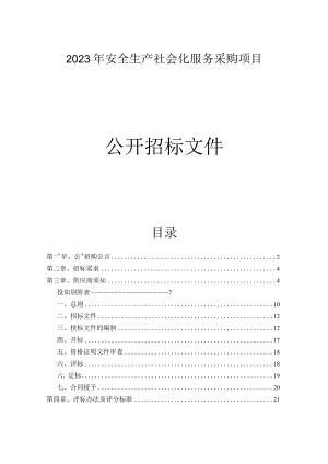 2023年安全生产社会化服务采购项目招标文件.docx