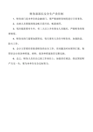 财务部部长安全生产责任制.docx