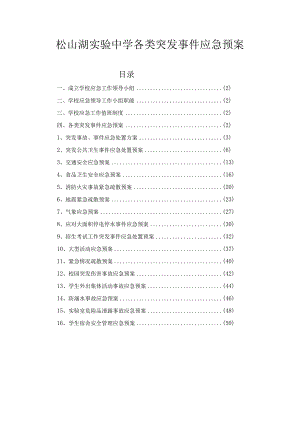 松山湖实验中学各类突发事件应急预案.docx