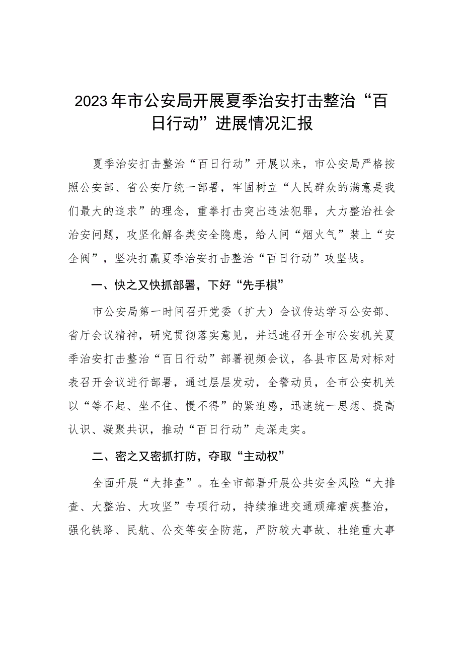 公安局推进夏季治安打击整治“百日行动”总结汇报十篇.docx_第1页