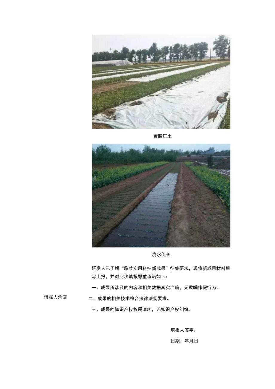 蔬菜实用科技新成果征集表.docx_第3页