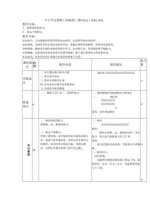 中小学足球射门训练第三课时射远下角靶心教案.docx