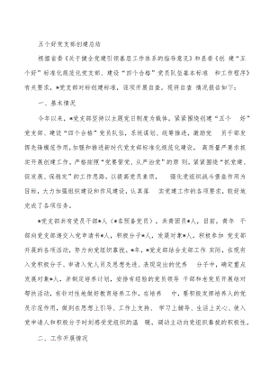 五个好党支部创建总结.docx