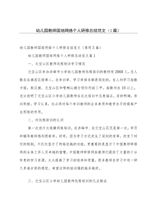 幼儿园教师国培网络个人研修总结范文（3篇）.docx