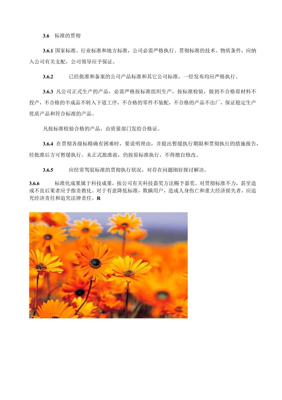 公司标准化管理制度.docx_第3页