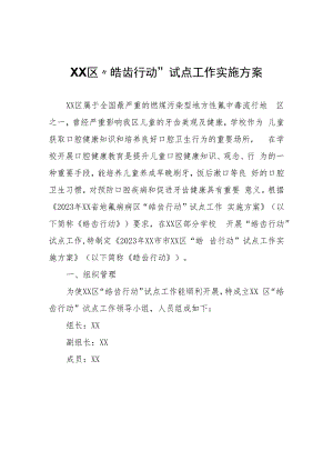 XX区“皓齿行动”试点工作实施方案.docx