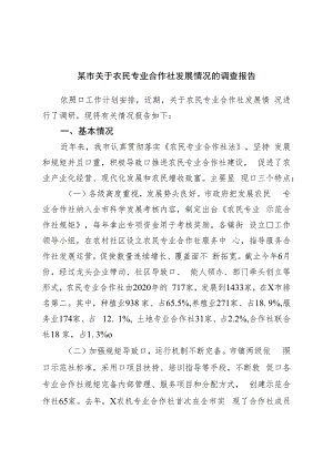 市关于农民专业合作社发展情况的调查报告.docx