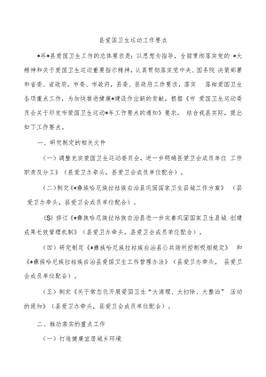 县爱国卫生运动工作要点.docx