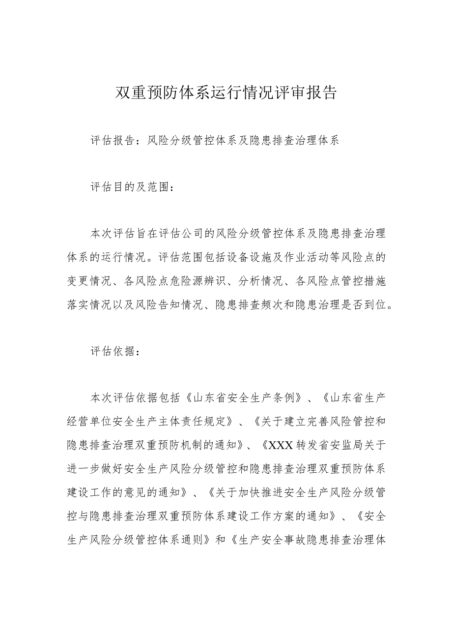 双重预防体系运行情况评审报告.docx_第1页