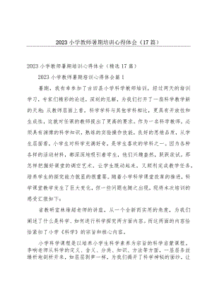 2023小学教师暑期培训心得体会（17篇）.docx