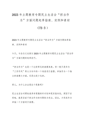 （72条）2023年主题教育专题民主生活会“担当作为”方面问题起草指南、实例和素材.docx