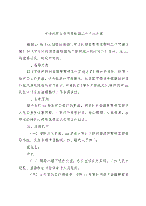 审计问题自查清理整顿工作实施方案.docx