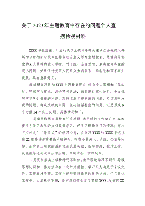 关于2023年主题教育中存在的问题个人查摆检视材料.docx