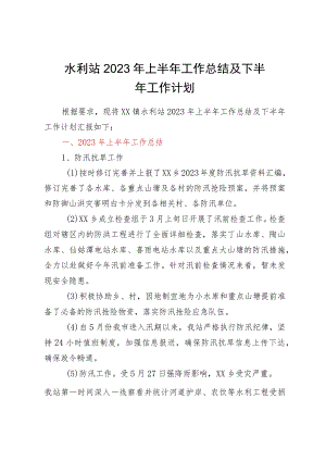 水利站2023年上半年工作总结及下半年工作计划.docx