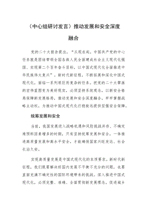 (中心组研讨发言)推动发展和安全深度融合.docx