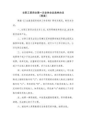 （工会换届）女职工委员会第一次全体会议选举办法.docx