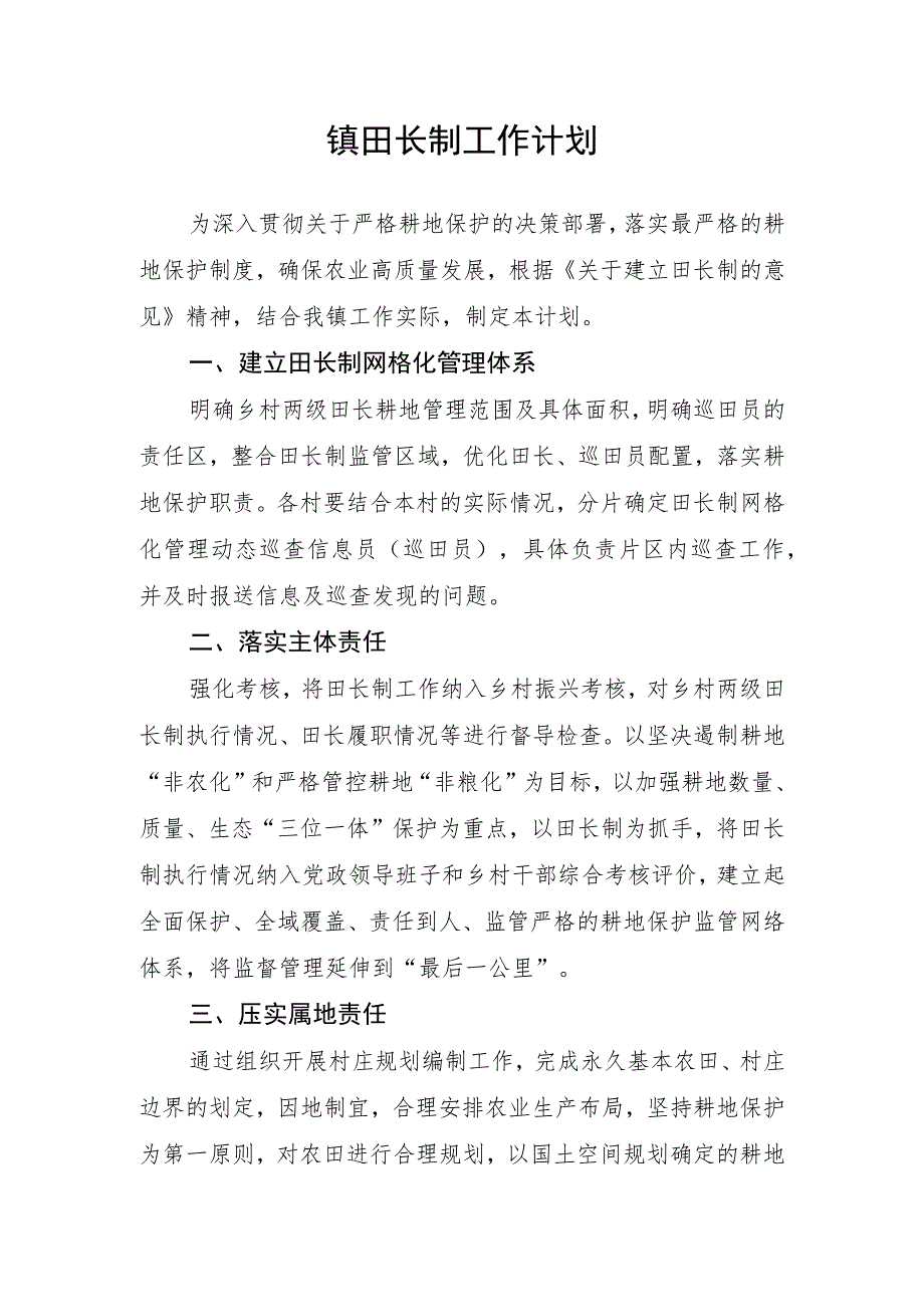 镇田长制工作计划.docx_第1页