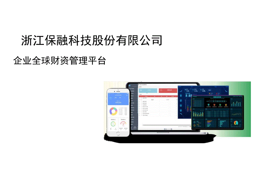 保融科技公司简介及资金系统产品介绍.docx_第1页