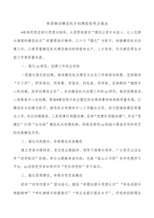 林场推动模范机关创建经验亮点做法.docx