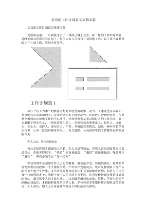 实用的工作计划范文集锦5篇.docx