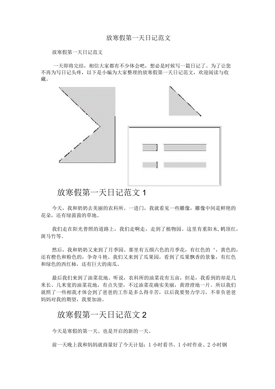 放寒假第一天日记范文.docx_第1页