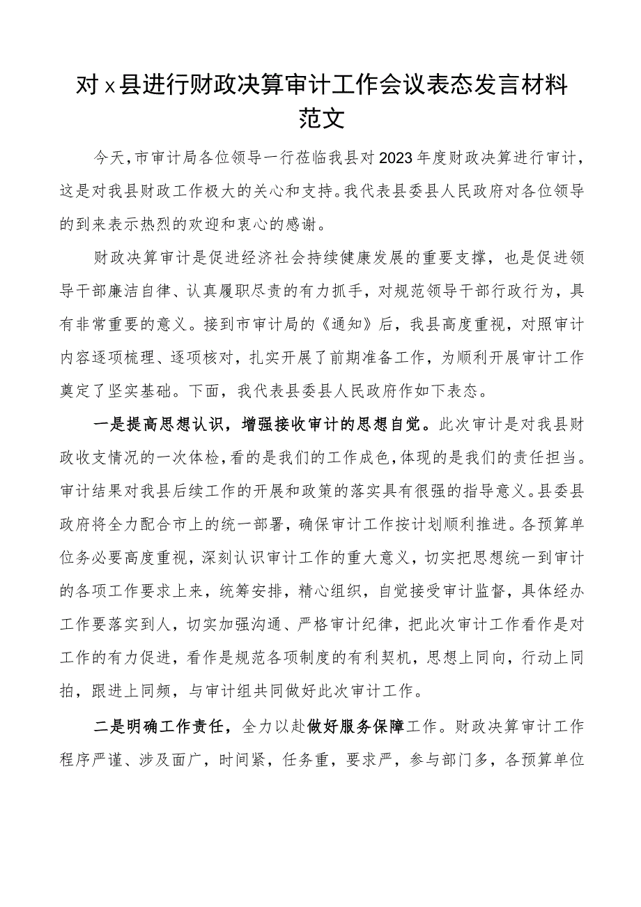 x县进行财政决算审计工作会议表态发言材料.docx_第1页