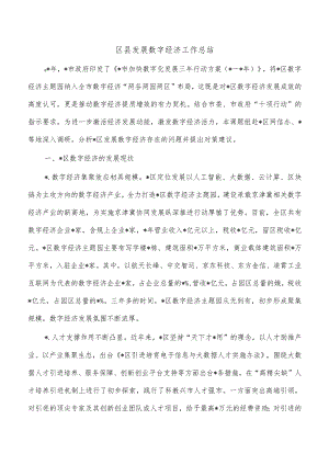 区县发展数字经济工作总结.docx