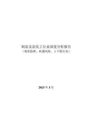 盐化工行业深度分析报告：现状趋势、机遇风险、上下游行业.docx