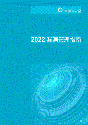 2022漏洞管理指南.docx