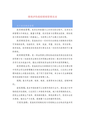 绩效评价政府绩效管理名词.docx