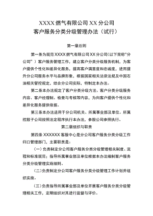 燃气有限公司客户服务分类分级管理办法（试行）.docx