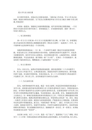 毕业大学生实习报告3000字范文.docx