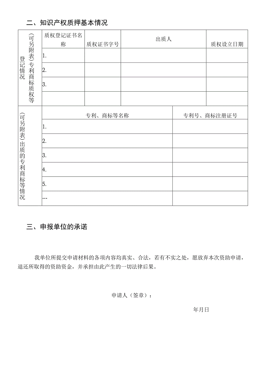 知识产权质押贷款风险资助申请表.docx_第3页