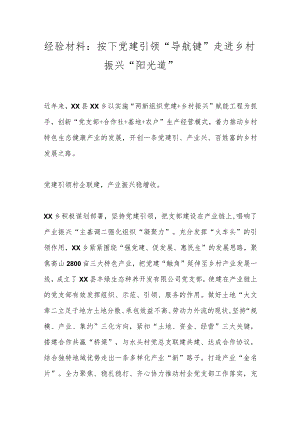 经验材料：按下党建引领“导航键”走进乡村振兴“阳光道”.docx