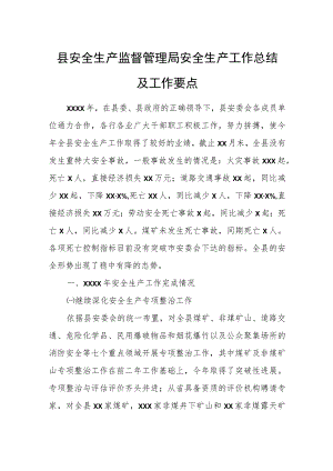 县安全生产监督管理局安全生产工作总结及工作要点.docx