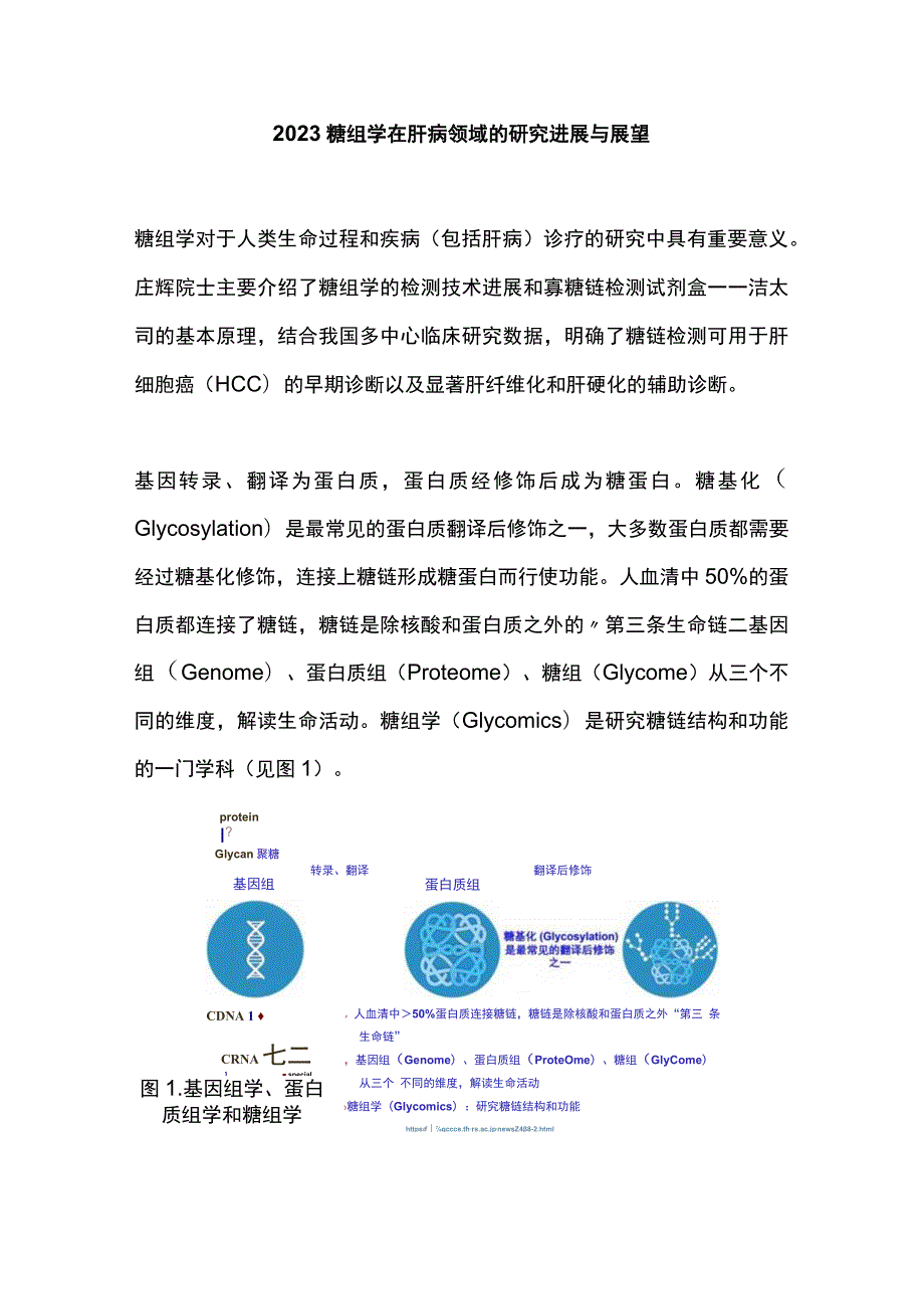 2023糖组学在肝病领域的研究进展与展望.docx_第1页