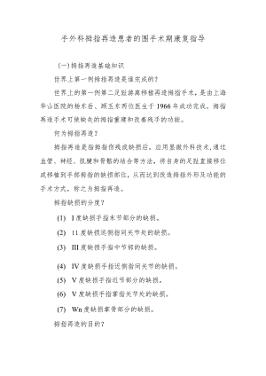 手外科拇指再造患者的围手术期康复指导.docx